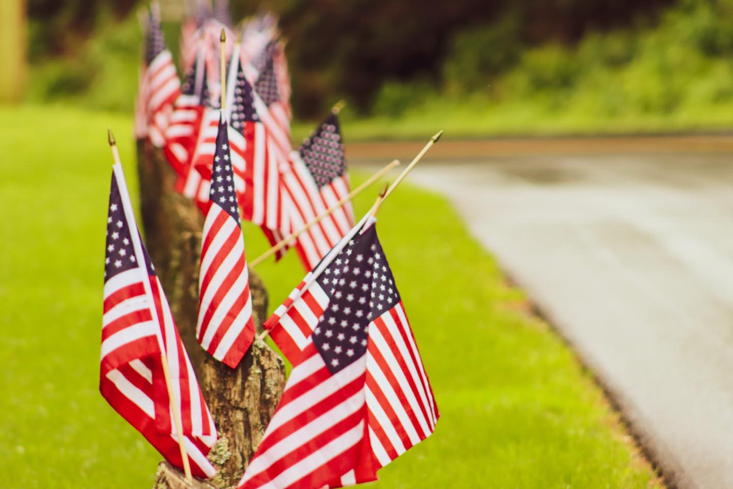 row-of-american-flags-lining-road-2022-11-01-09-52-32-utc